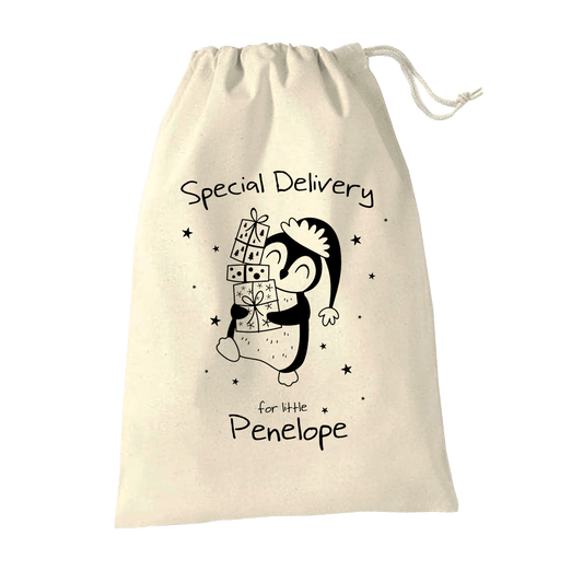 Christmas Sack - Special Delivery